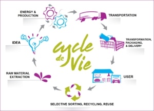 Life Cycle of product