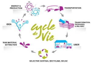 Life Cycle of product schema