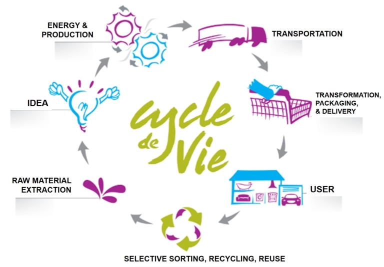 Life Cycle of product schema