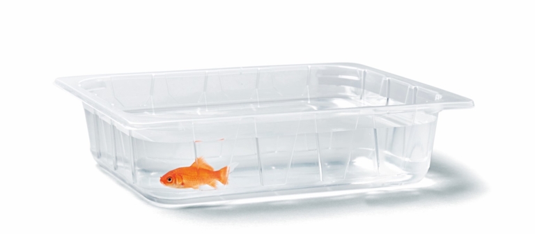 Photo of a Kapclear Knauf Industries transparent tray with a goldfish inside (like an aquarium)