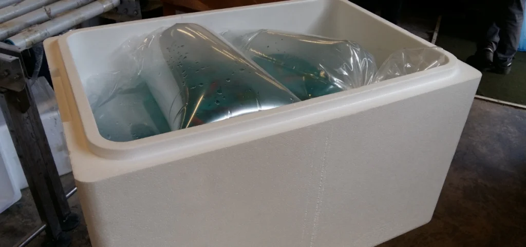 Boîte en polystyrène expansé Freshbox avec poissons