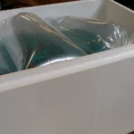 Boîte en polystyrène expansé Freshbox avec poissons