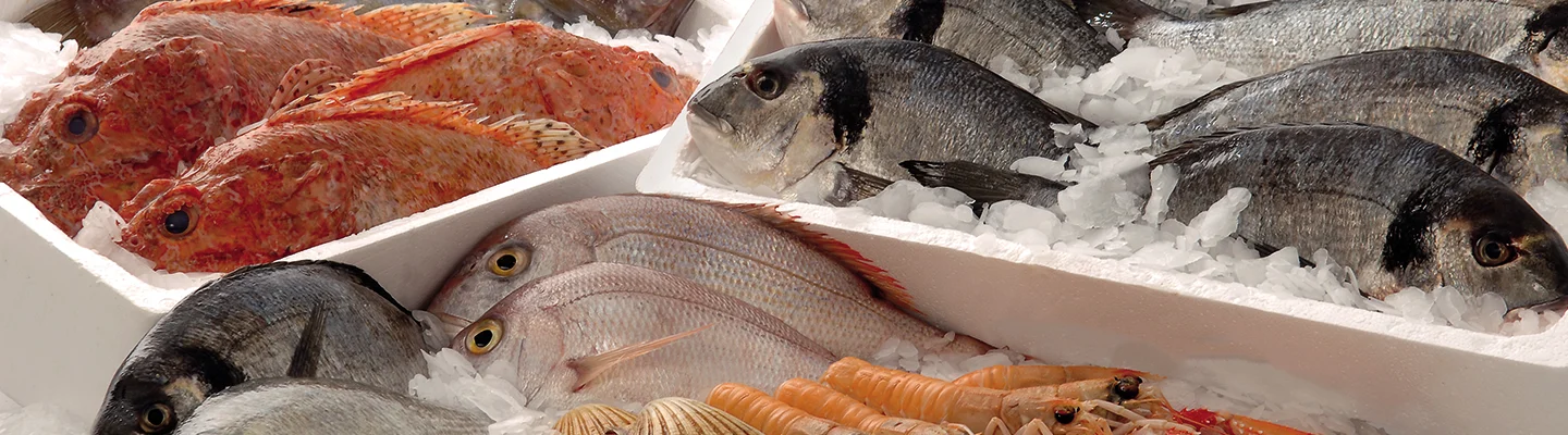 caisse marée poisson