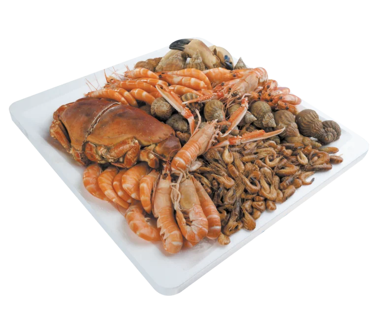 Plateaux Fruits de Mer en PSE