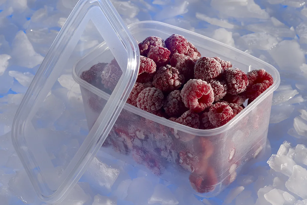 Barquettes pour fruits givrés