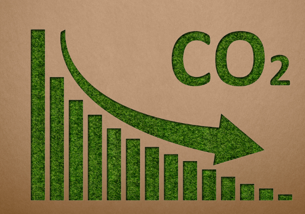How can you reduce your company’s carbon footprint in 2025?