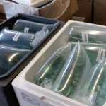 Freshbox 55 L avec poissons