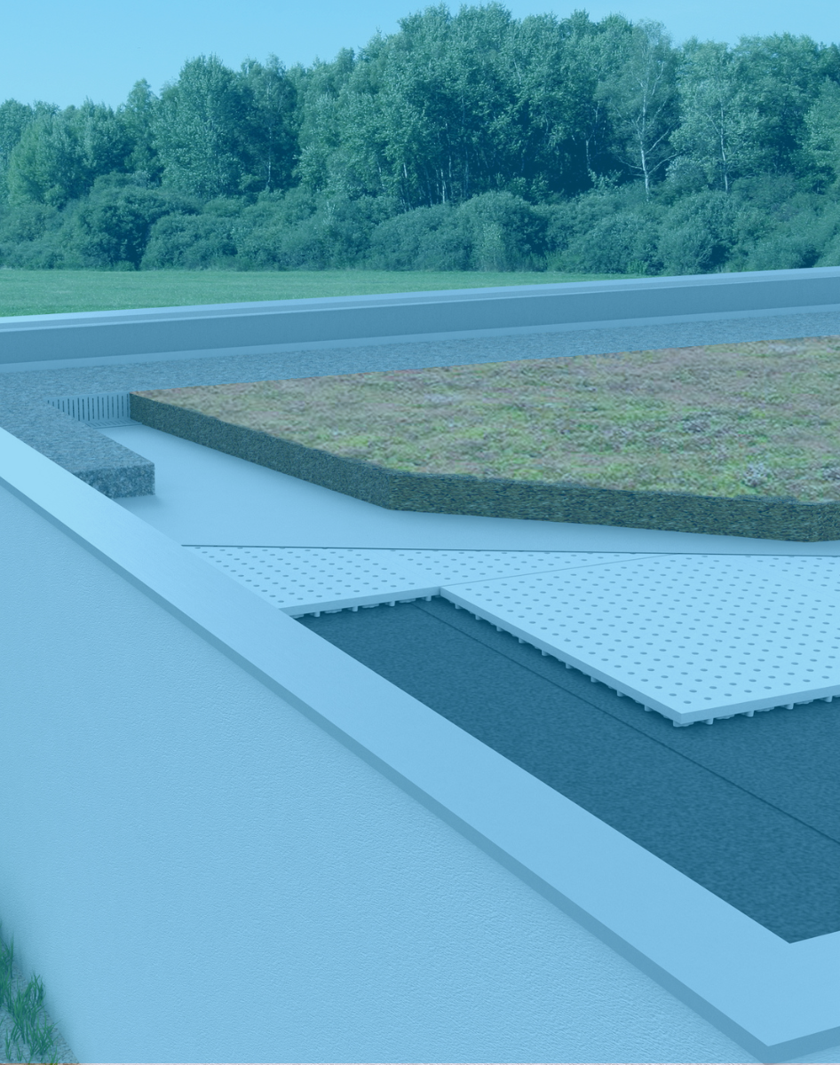 Végétalisation et drainage